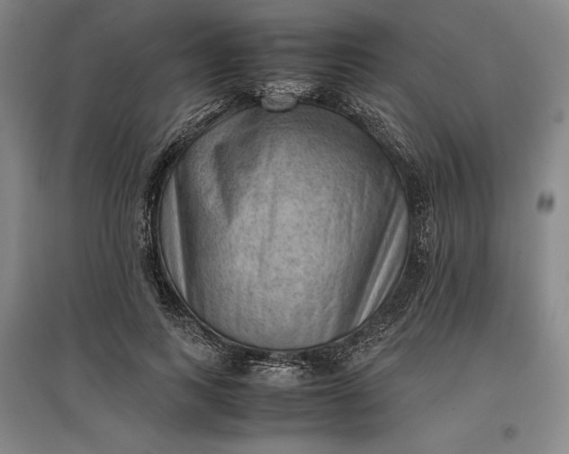 X0000096940743200802221319