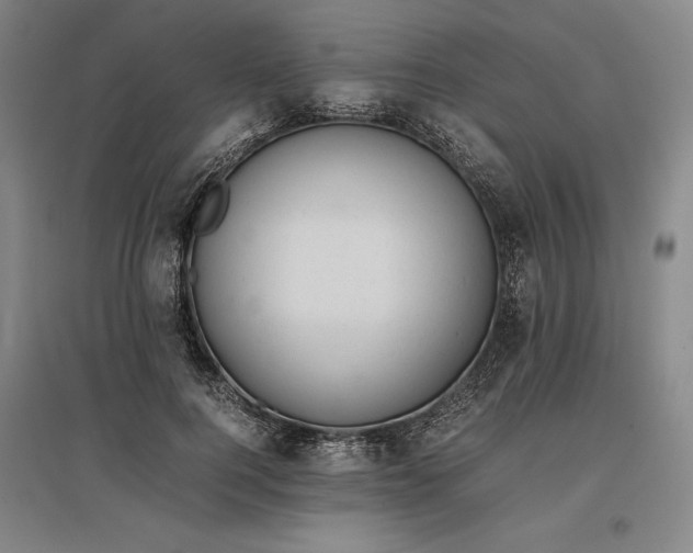 X0000096940744200802221319