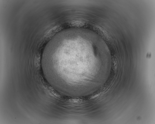 X0000096940745200802221319