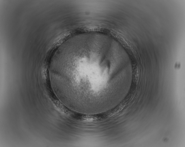 X0000096940746200802221319