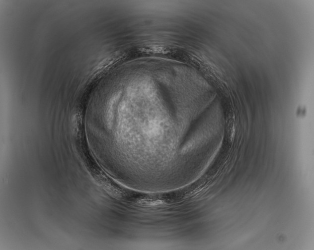 X0000096940747200802221319