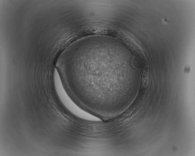 X0000096940748200802221319