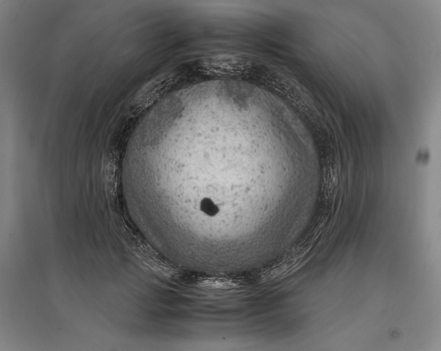 X0000096940749200802221319