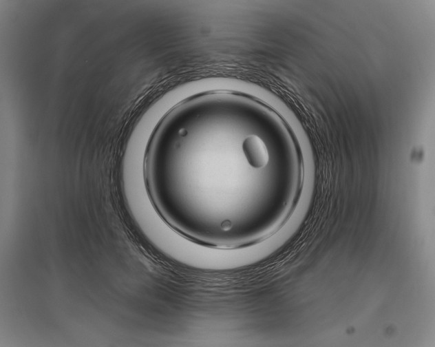 X0000096940750200802221319