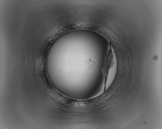 X0000096940751200802221319