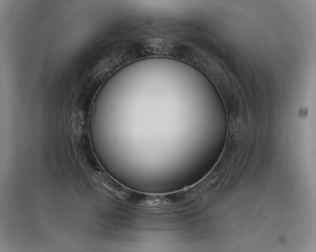 X0000096940752200802221319