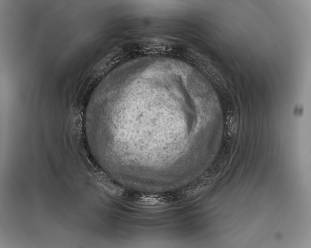 X0000096940753200802221319