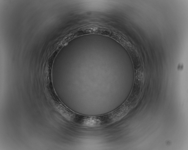 X0000096940754200802221319