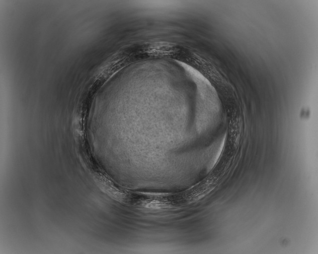 X0000096940755200802221319