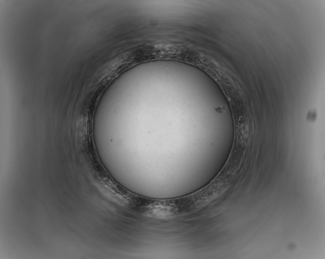 X0000096940756200802221319