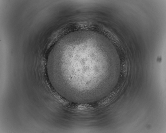 X0000096940757200802221320