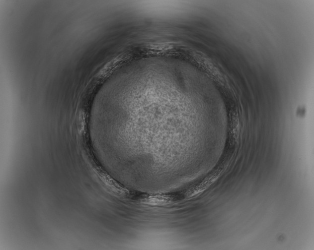 X0000096940758200802221320