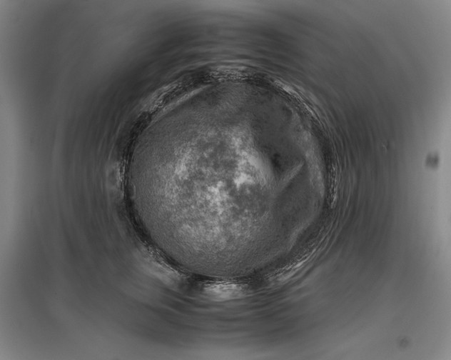 X0000096940759200802221320