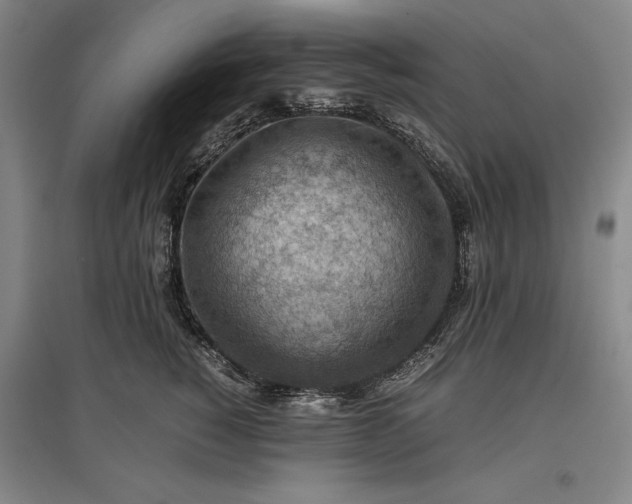 X0000096940760200802221320