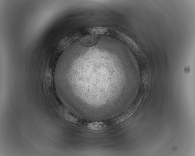 X0000096940761200802221320