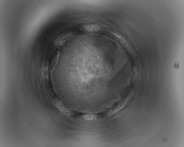 X0000096940762200802221320