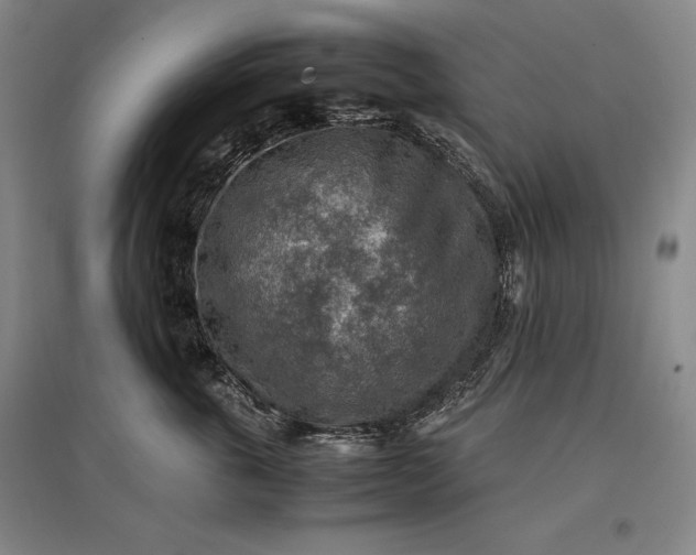 X0000096940763200802221320