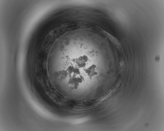 X0000096940765200802221320