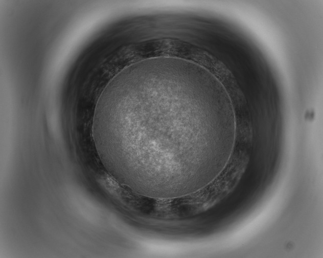 X0000096940766200802221320