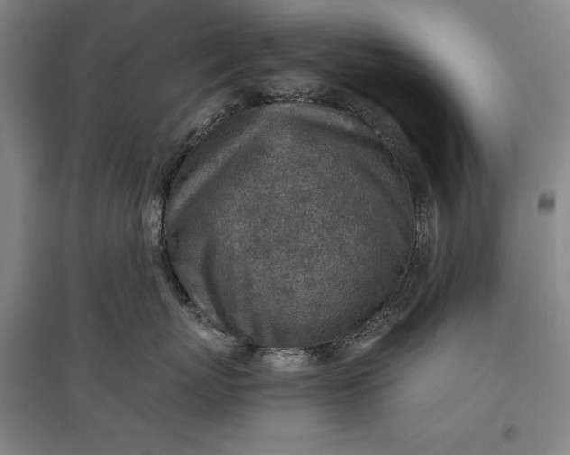 X0000096940767200802221320