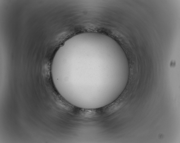 X0000096940768200802221320