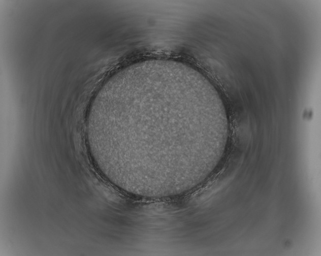 X0000096940769200802221319