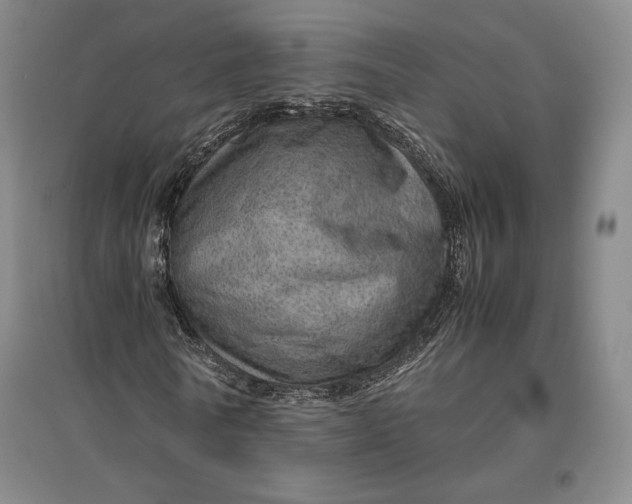 X0000096940770200802221319