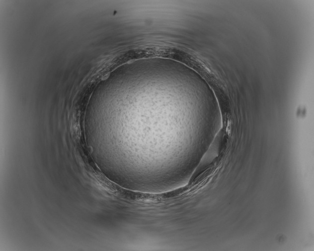 X0000096940771200802221319