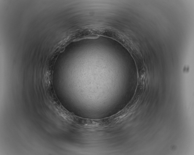 X0000096940772200802221319