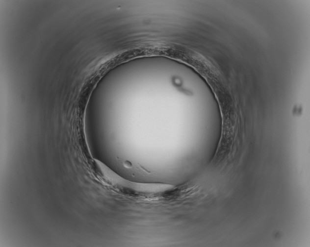 X0000096940773200802221319