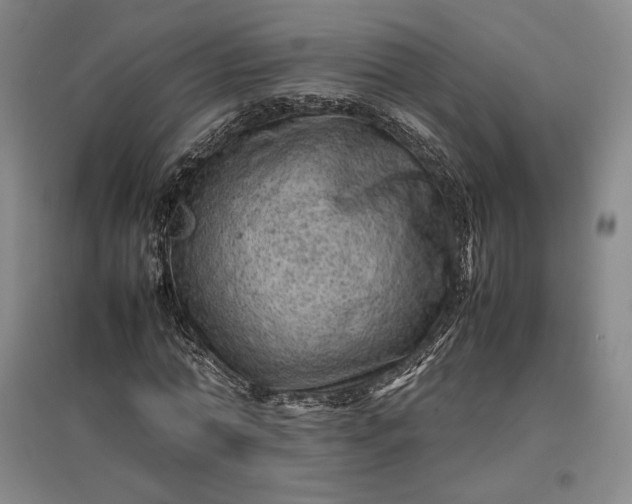 X0000096940774200802221319