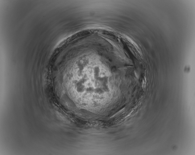 X0000096940775200802221319