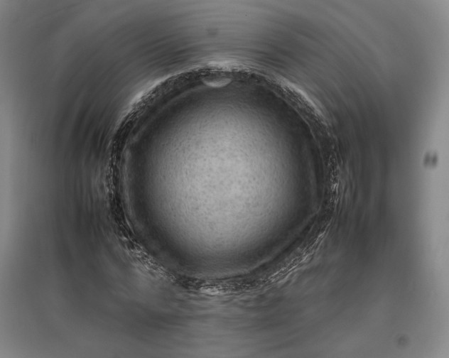 X0000096940776200802221319