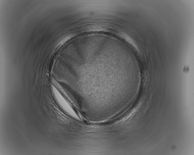 X0000096940777200802221319