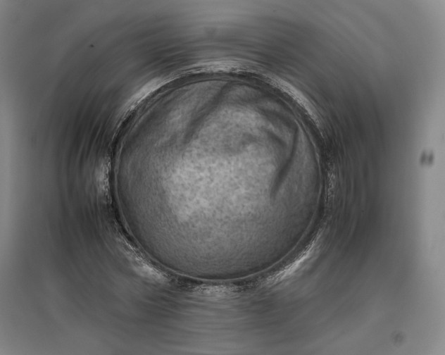 X0000096940778200802221319