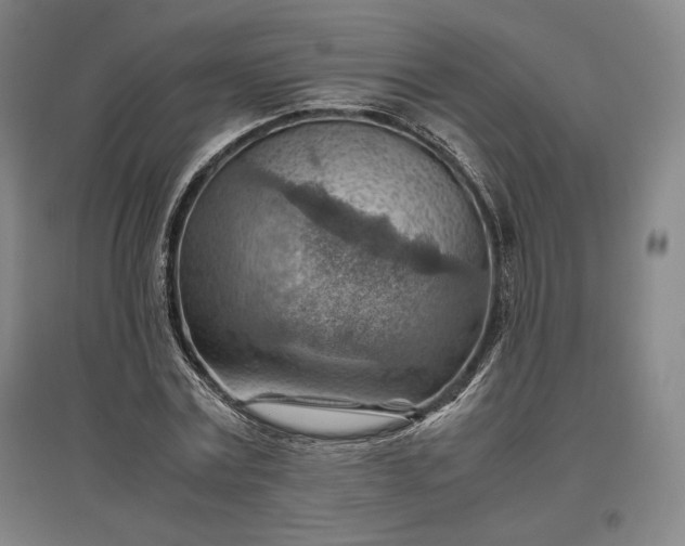 X0000096940779200802221319