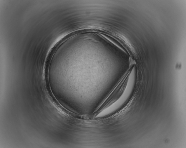 X0000096940780200802221319