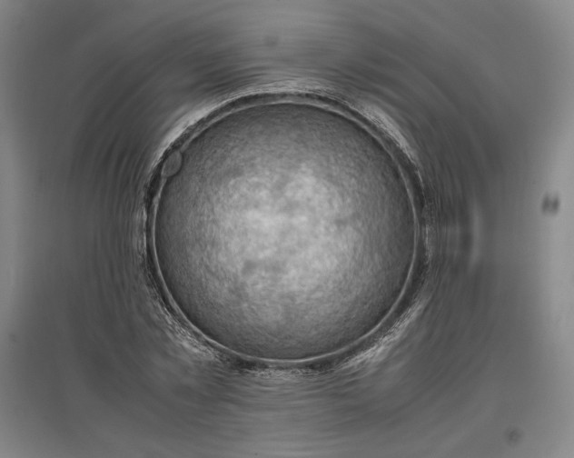 X0000096940781200802221319