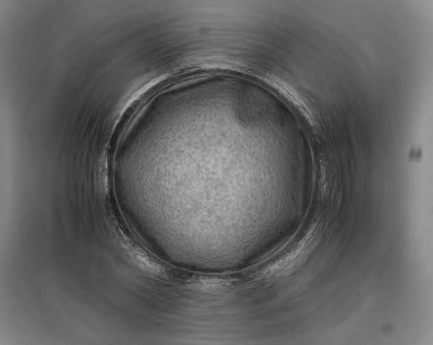 X0000096940782200802221319