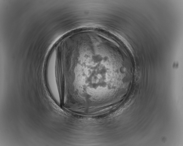 X0000096940783200802221319