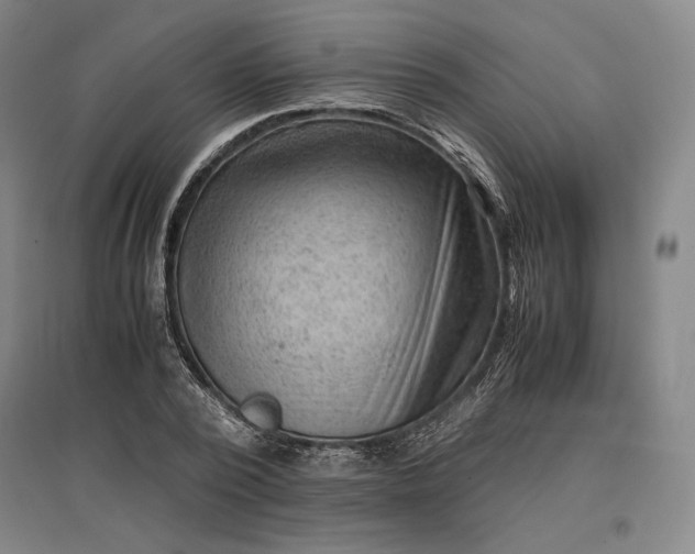 X0000096940784200802221319