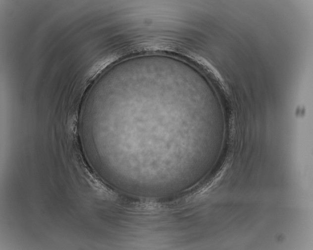 X0000096940785200802221319