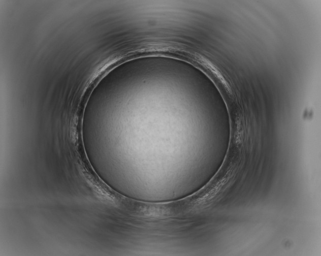 X0000096940786200802221319