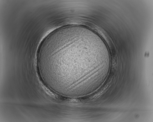 X0000096940787200802221319