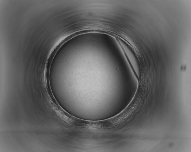 X0000096940788200802221319