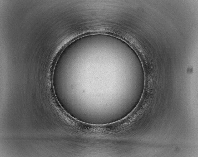 X0000096940789200802221319