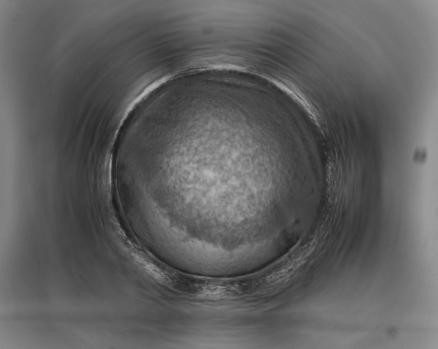 X0000096940790200802221319