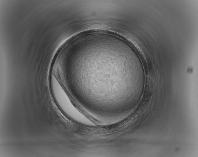 X0000096940791200802221319