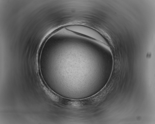 X0000096940792200802221319