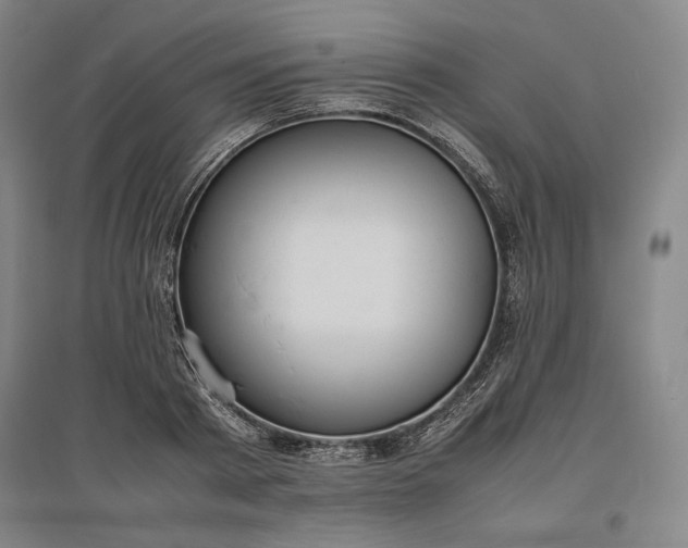 X0000096940793200802221319